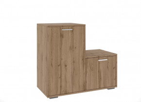 Обувницы в Ишиме