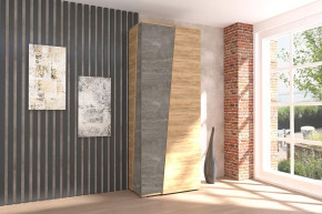 Аллегро-10 Шкаф двухдверный Диал в Ишиме - ishim.mebel-tymen.ru | фото