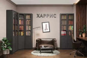 Библиотека Харрис в Ишиме - ishim.mebel-tymen.ru | фото