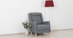 Дилан Кресло для отдыха арт. ТК 423 в Ишиме - ishim.mebel-tymen.ru | фото