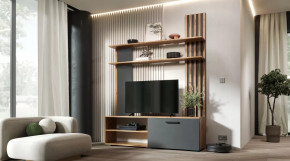 Гостиная Каролина Дуб Вотан/Графит в Ишиме - ishim.mebel-tymen.ru | фото