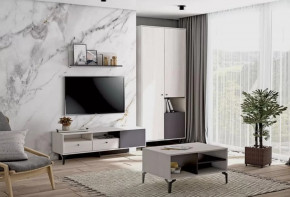 Гостиная Лион №3 Ясень анкор светлый/Графит Диал в Ишиме - ishim.mebel-tymen.ru | фото