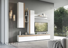 Гостиная НАО-Моно №1 в Ишиме - ishim.mebel-tymen.ru | фото