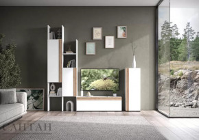 Гостиная НАО-Моно №3 в Ишиме - ishim.mebel-tymen.ru | фото