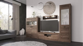 Гостиная Серия Регина дуб самдал в Ишиме - ishim.mebel-tymen.ru | фото