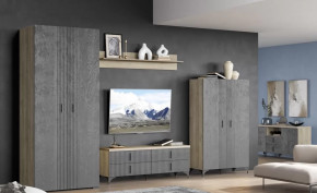 Гостиная Шер Композиция №13 в Ишиме - ishim.mebel-tymen.ru | фото