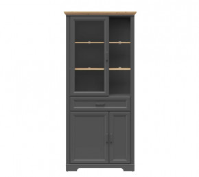 JASMIN шкаф REG1W2D1S (Графит/ Дуб артизан) в Ишиме - ishim.mebel-tymen.ru | фото