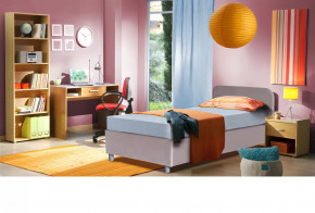 Кровать с подъемным механизмом 1400*1900/2000 Инди в Ишиме - ishim.mebel-tymen.ru | фото