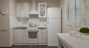 Кухонный гарнитур Алина мини 1000 мм в Ишиме - ishim.mebel-tymen.ru | фото