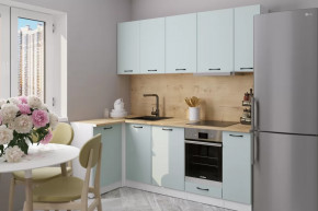 Кухонный гарнитур Лиора прайм 400 1100х2000 мм в Ишиме - ishim.mebel-tymen.ru | фото