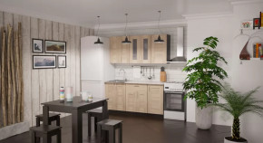 Кухонный гарнитур Ника стандарт 1600 мм в Ишиме - ishim.mebel-tymen.ru | фото