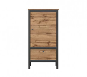 LOFT шкаф REG1D1S/60 (Дуб вотан/Черный) в Ишиме - ishim.mebel-tymen.ru | фото