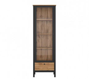 LOFT шкаф REG1W1S (Дуб вотан/Черный) в Ишиме - ishim.mebel-tymen.ru | фото