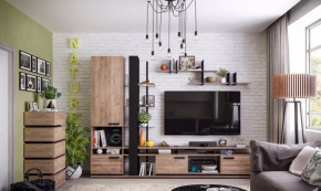 Модульная гостиная Nature в Ишиме - ishim.mebel-tymen.ru | фото