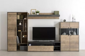 Модульная гостиная Трувор в Ишиме - ishim.mebel-tymen.ru | фото