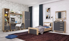 Молодёжная №ДКС-1 "Вега Скандинавия" Дуб каньон/Силк флай в Ишиме - ishim.mebel-tymen.ru | фото