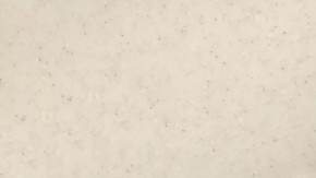 Панель пристенная 6х600х720 в Ишиме - ishim.mebel-tymen.ru | фото