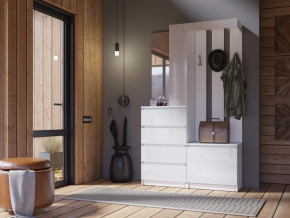 Прихожая Челси белый в Ишиме - ishim.mebel-tymen.ru | фото