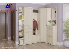 Прихожая Карина набор 5 в Ишиме - ishim.mebel-tymen.ru | фото