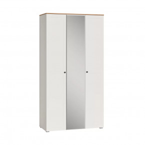 Шкаф для одежды Остин  13.336.03 в Ишиме - ishim.mebel-tymen.ru | фото