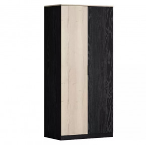 Шкаф двухстворчатый для одежды Дельта Лофт 13.02 в Ишиме - ishim.mebel-tymen.ru | фото