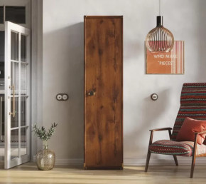 Шкаф JREG 1d Дуб саттер ИНДИАНА в Ишиме - ishim.mebel-tymen.ru | фото