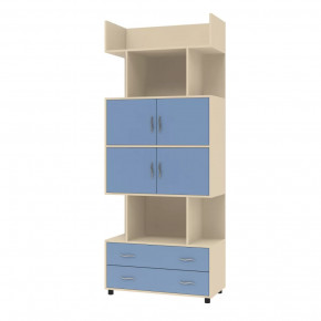 Шкаф комбинированный Дельта-5.03 в Ишиме - ishim.mebel-tymen.ru | фото