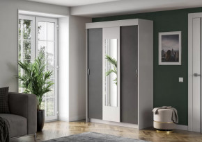 Шкаф-купе Бассо в Ишиме - ishim.mebel-tymen.ru | фото