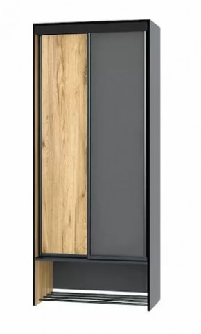 Шкаф-купе без зеркала Ольга-Лофт 10.1 в Ишиме - ishim.mebel-tymen.ru | фото