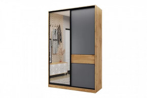 Шкаф-купе SLIM двухдверный BS15-6.ZD в Ишиме - ishim.mebel-tymen.ru | фото