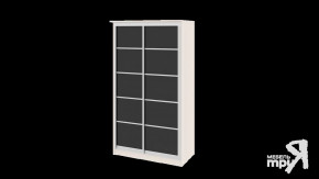 Шкаф-купе «Стэн» СМ-140.01.001 в Ишиме - ishim.mebel-tymen.ru | фото