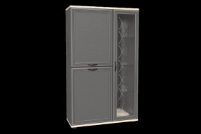 Шкаф многоцелевой ШК-1082 Карина в Ишиме - ishim.mebel-tymen.ru | фото