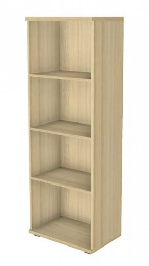 Шкаф многоцелевой ШК-1088 Карина в Ишиме - ishim.mebel-tymen.ru | фото