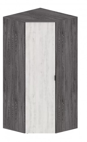 Шкаф Шаде ШК-2910 в Ишиме - ishim.mebel-tymen.ru | фото