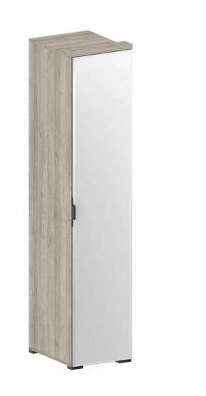 Шкаф Шаде ШК-2912 в Ишиме - ishim.mebel-tymen.ru | фото