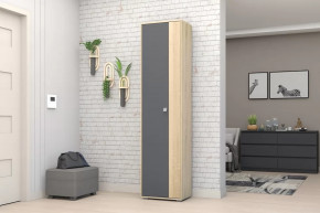 Шкаф ШК-01 Монако в Ишиме - ishim.mebel-tymen.ru | фото