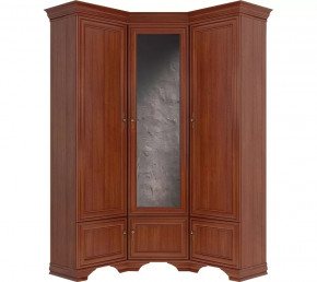 Шкаф угловой Kentaki S320-SZFN5D каштан в Ишиме - ishim.mebel-tymen.ru | фото