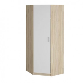 Шкаф угловой "Салоу" 900 в Ишиме - ishim.mebel-tymen.ru | фото