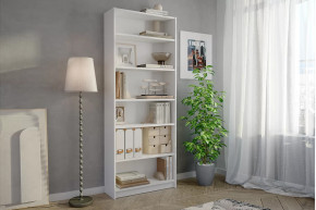 Стеллаж Бильд в Ишиме - ishim.mebel-tymen.ru | фото