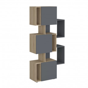 Стеллаж Дублин в Ишиме - ishim.mebel-tymen.ru | фото