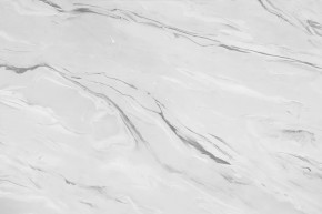 Стеновая панель №43, 3000*600*6 мм, аргус светлый в Ишиме - ishim.mebel-tymen.ru | фото