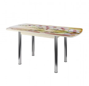 Стол Бостон-3 раздвижной, фотопечать Орхидея на воде/венге/хром брифинг в Ишиме - ishim.mebel-tymen.ru | фото