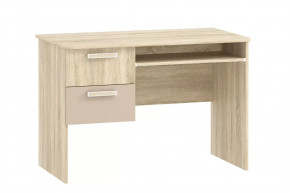 Стол для компьютера НМ 009.19-05 М2 Акварель в Ишиме - ishim.mebel-tymen.ru | фото