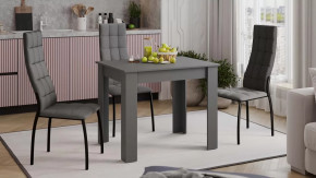 Стол обеденный «Промо» тип 1 Серый графит в Ишиме - ishim.mebel-tymen.ru | фото