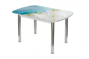 Стол овальный Бостон-2 Белая орхидея, 1100*700 мм, хром брифинг в Ишиме - ishim.mebel-tymen.ru | фото