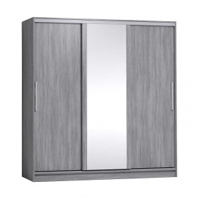 Strike 2000 Шкаф-купе зеркало/лдсп в Ишиме - ishim.mebel-tymen.ru | фото