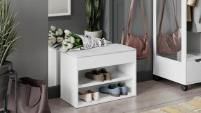 Тумба для обуви «Лайт» Тип 1 Белый глянец в Ишиме - ishim.mebel-tymen.ru | фото