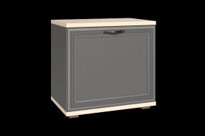 Тумба для обуви ТБ-1042 Карина в Ишиме - ishim.mebel-tymen.ru | фото