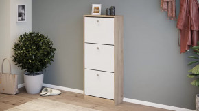 Тумба для обуви «Тетра» Тип 1 Исп. 2 в Ишиме - ishim.mebel-tymen.ru | фото