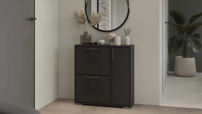 Тумба для обуви Тип 15 Антрацит в Ишиме - ishim.mebel-tymen.ru | фото